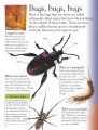 Фото Bugs 2
