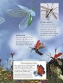 Фото Bugs 5