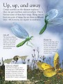 Фото Bugs 4