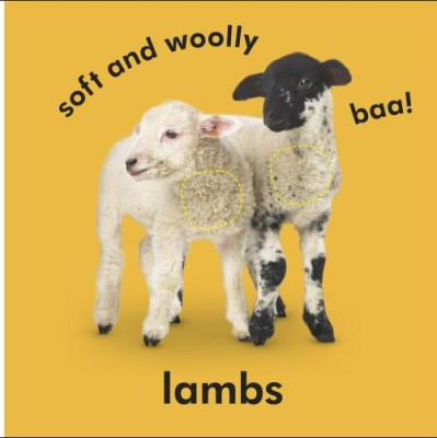 Baby Touch and Feel. Farm Friends