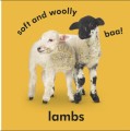 Фото Baby Touch and Feel. Farm Friends 3