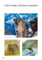 Фото Ladybird Readers. Level 1. Animal Colors 2