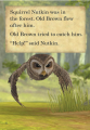 Фото Peter Rabbit: The Angry Owl. Ladybird Readers. Level 2 4