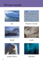 Фото Ice Worlds. Ladybird Readers. Level 3 2