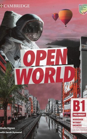Open World Preliminary Workbook without Answers with Audio Download