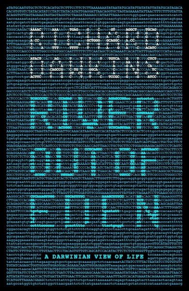 Фото River Out of Eden