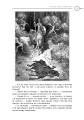 Фото Премудрий гідальґо Дон Кіхот з Ламанчі 5