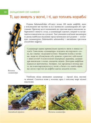 Загадковий світ амфібій