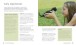 Фото Hamlyn All Colour Petcare. Cat Care Essentials 3