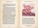 Фото The Dark Powers of Tolkien 3