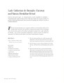 Фото Jane Austen's Table. Recipes Inspired by the Works of Jane Austen 2