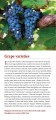Фото Hugh Johnson's Pocket Wine Book 2019 2