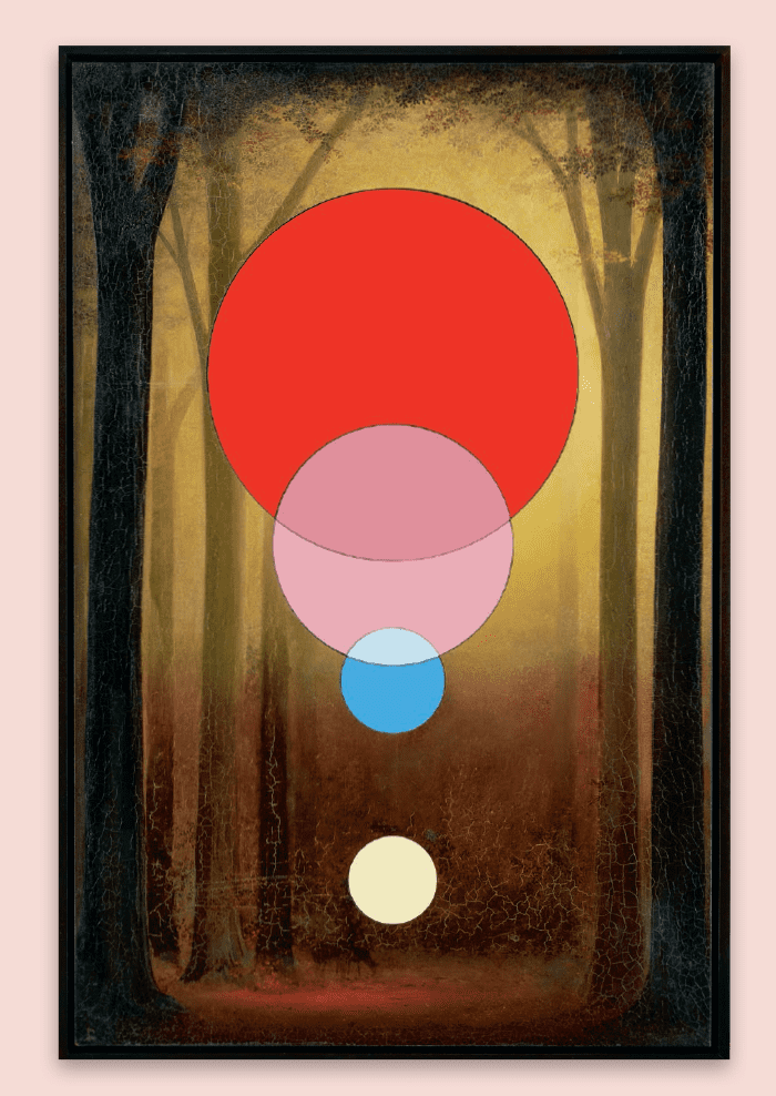 Hidden Product Image 6