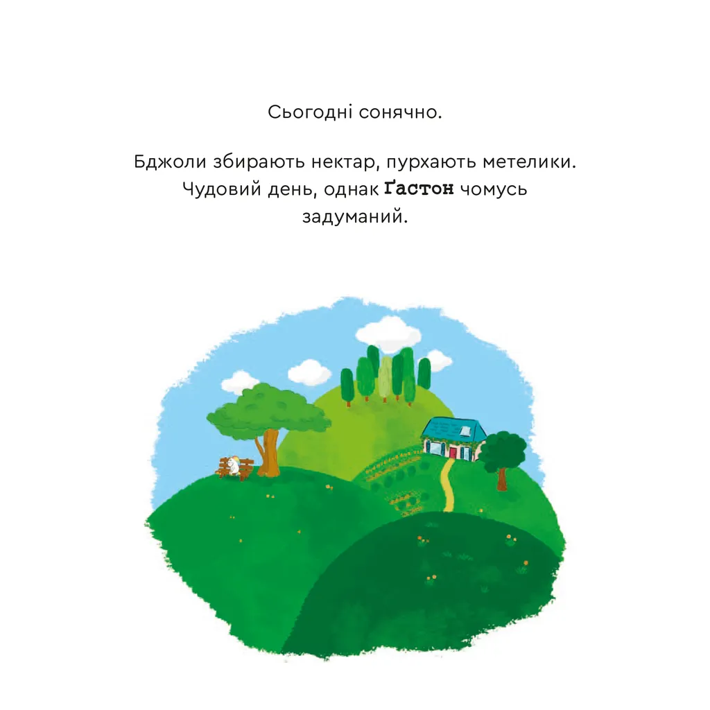 Hidden Product Image 8