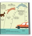 Фото Порівняння. Виміряй увесь світ. Моя перша книжка 3