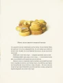Фото Айнштайн. Фантастична подорож Мишеняти у просторі й часі 5