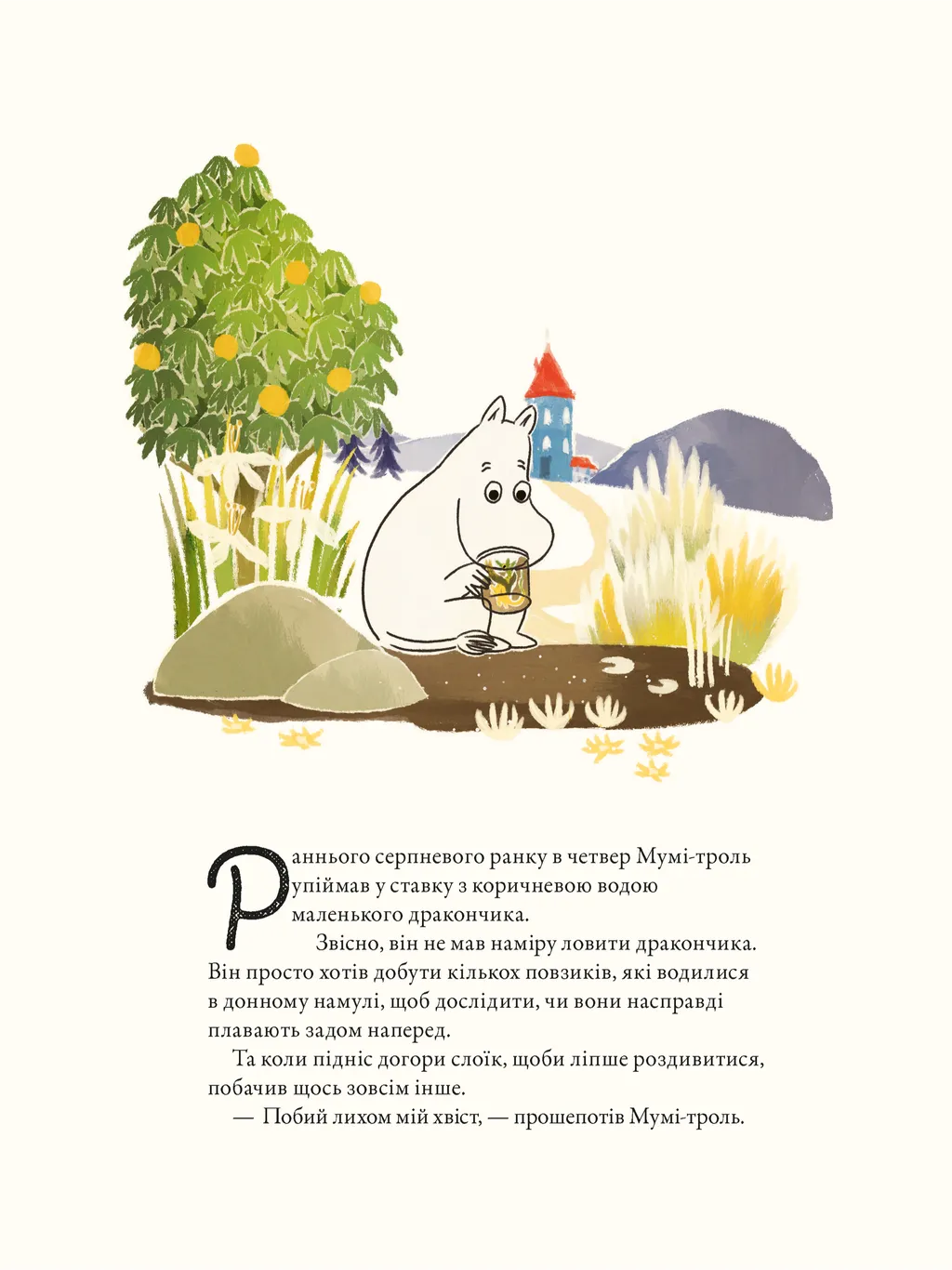 Hidden Product Image 6