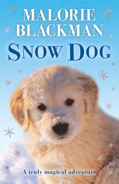 Фото Snow Dog