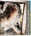 Фото Ellen von Unwerth. Heimat 7