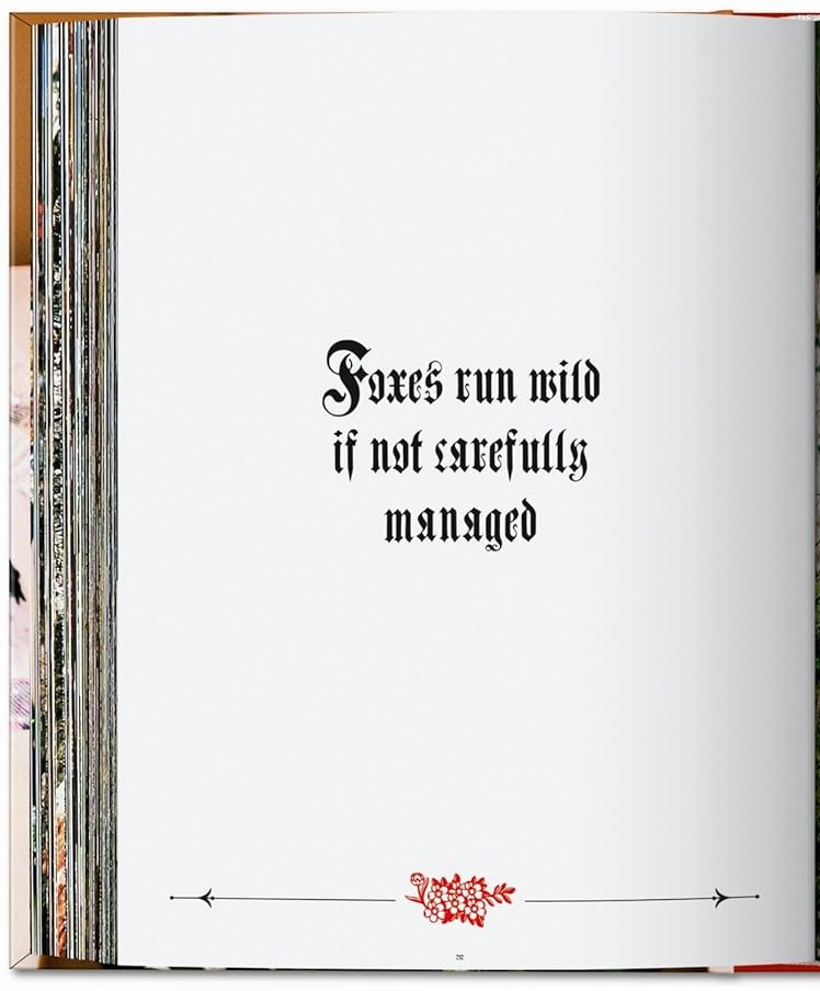 Hidden Product Image 8