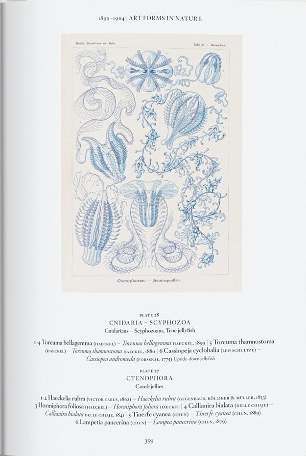 Hidden Product Image 11