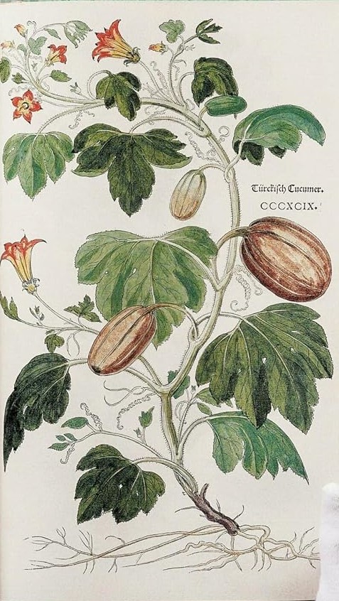 Hidden Product Image 7