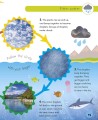 Фото Weather and the Seasons 6