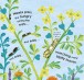 Фото How Does a Butterfly Grow? 5