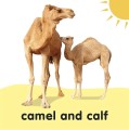 Фото Baby Touch and Feel Bible Animals 5