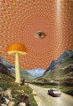Фото Plant Magick. The Library of Esoterica 10