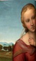 Фото Raphael. The Complete Works. Paintings, Frescoes, Tapestries, Architecture 8