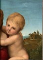 Фото Raphael. The Complete Works. Paintings, Frescoes, Tapestries, Architecture 9