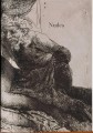 Фото Rembrandt. The Complete Drawings and Etchings 9