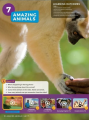Фото Own it! Level 1. Student's Book with Practice Extra 4