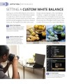 Фото The Beginner's Photography Guide (2nd Edition) 2