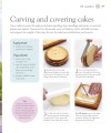 Фото Try it!: Cake Decorating 6
