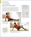 Фото Foam Roller Exercises: Relieve Pain, Prevent Injury, Improve Mobility 5