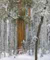 Фото Natural Wonders of the World 5