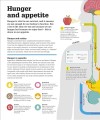 Фото How Food Works: The Facts Visually Explained 12
