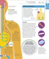 Фото How Food Works: The Facts Visually Explained 13