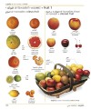 Фото Arabic-English Visual Bilingual Dictionary with Free Audio APP 7