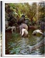 Фото Walt Disney’s Disneyland 2