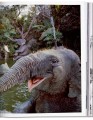 Фото Walt Disney’s Disneyland 3