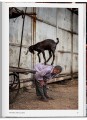 Фото Steve McCurry. Animals 3