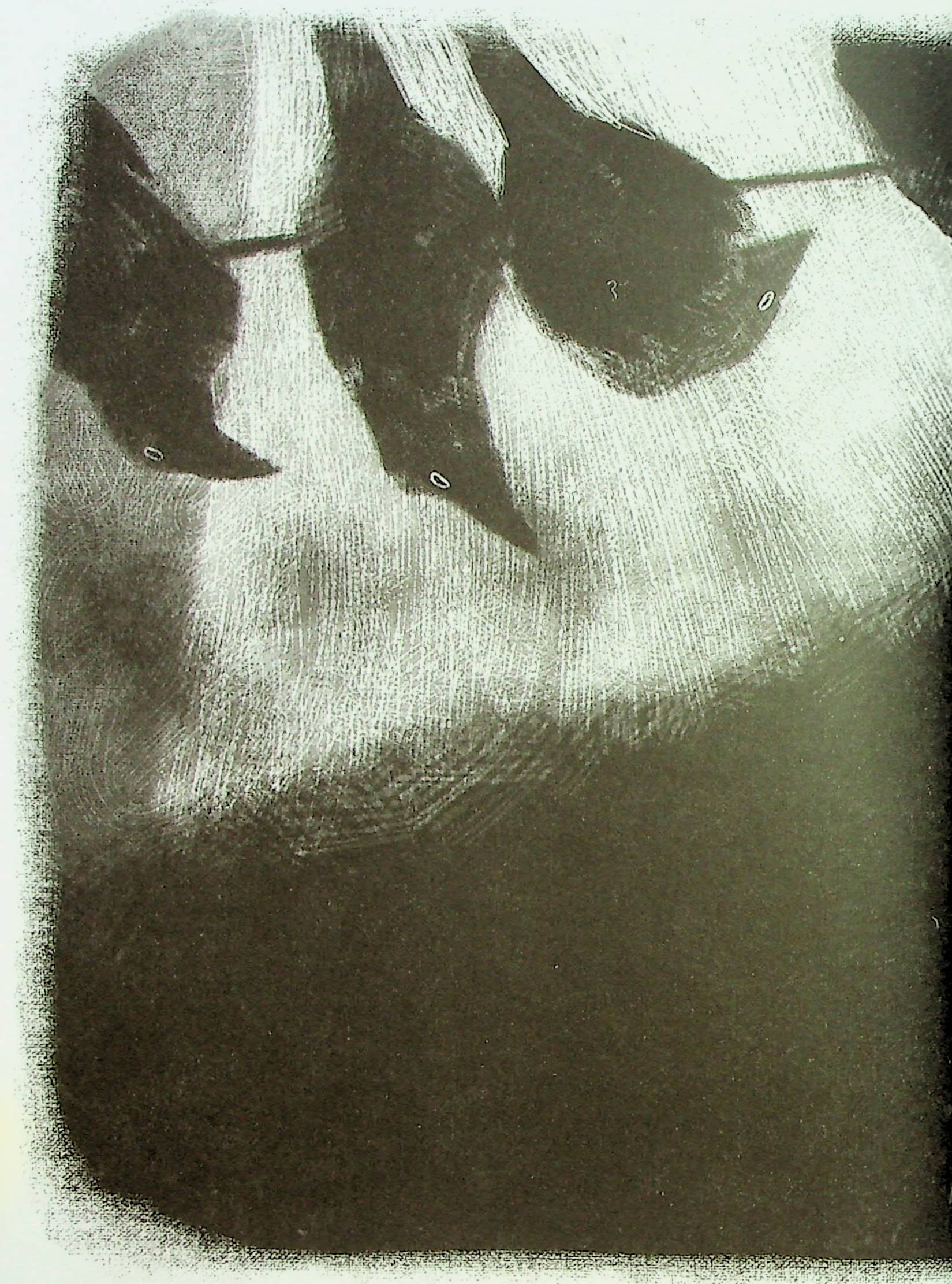 Hidden Product Image 7