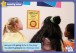 Фото Kid's Box. New Generation. Level 6. Posters 2