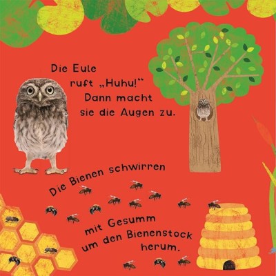 Klang-Klappenbuch. Tiere