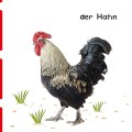 Фото Erste Reime-erste Bilder. Tiere auf dem Bauernhof 3