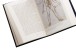 Фото The Body. A Guide for Occupants 3