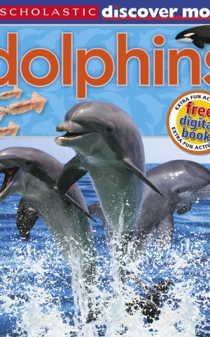 Discover More. Dolphins